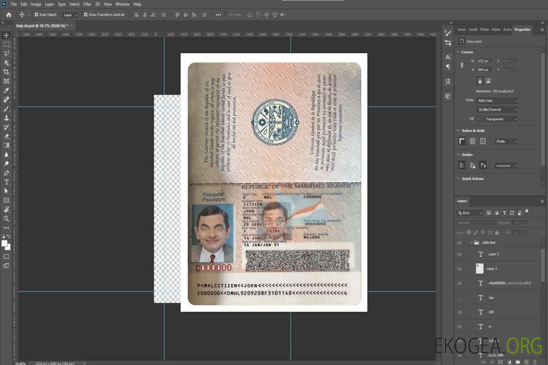 Pass ILES MARSHALL template